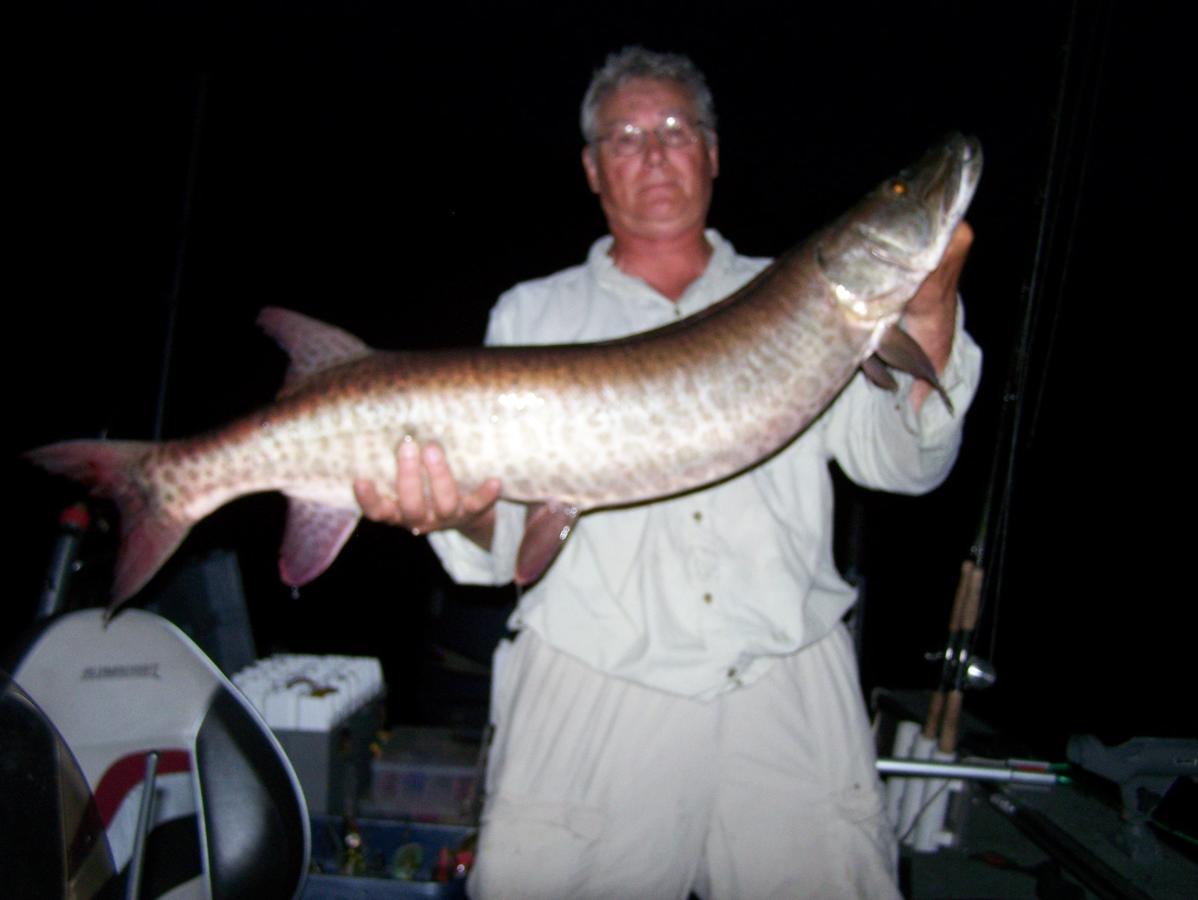 Muskie Bay Resort Nestor Falls Esterno foto
